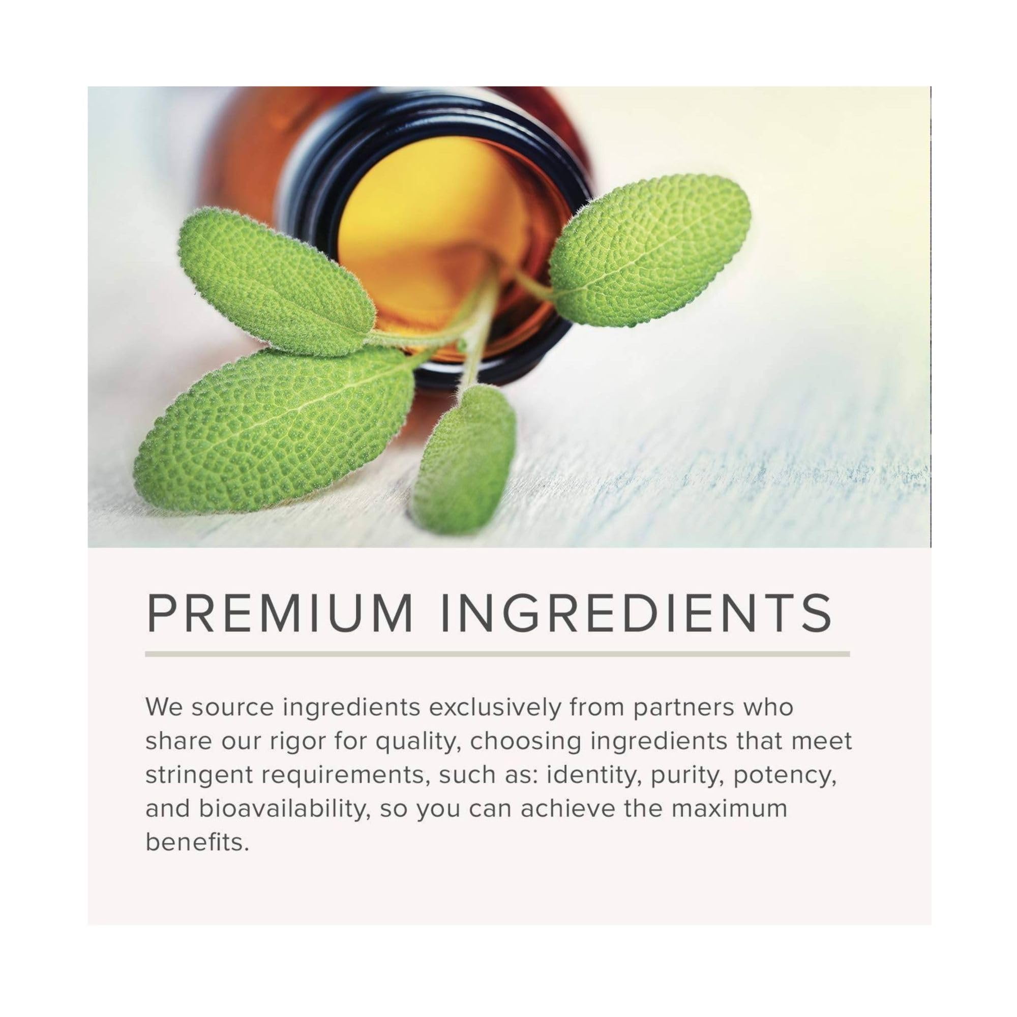 Close-up of vegan capsules