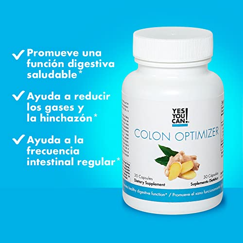 Organic ingredients and digestive health concept