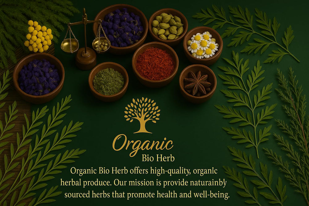 Organic Bio Herbs elderberry fruit 6 oz - eco packaging