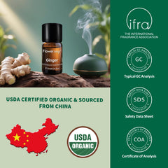 USDA Organic ginger essential oil 10ml with packaging