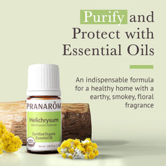 Organic Helichrysum italicum essential oil bottle