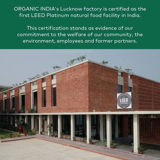 Close-up of Organic India Amla Powder packaging