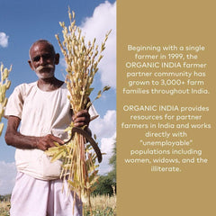Organic India Amla Powder label detail