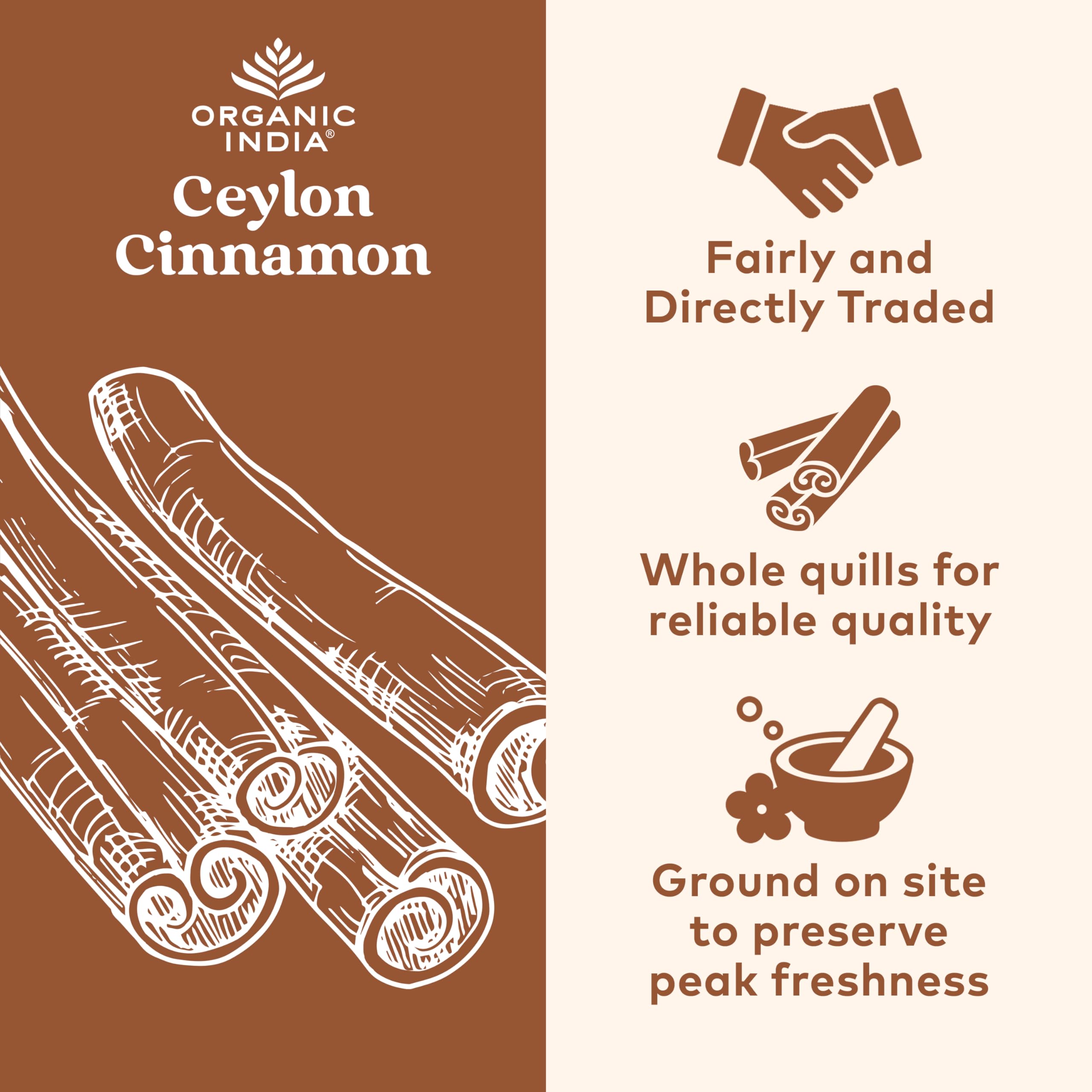 Close-up of Ceylon cinnamon bark used in capsules