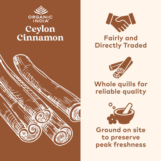 Close-up of Ceylon cinnamon bark used in capsules
