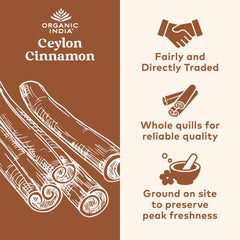 Close-up of Ceylon cinnamon bark used in capsules