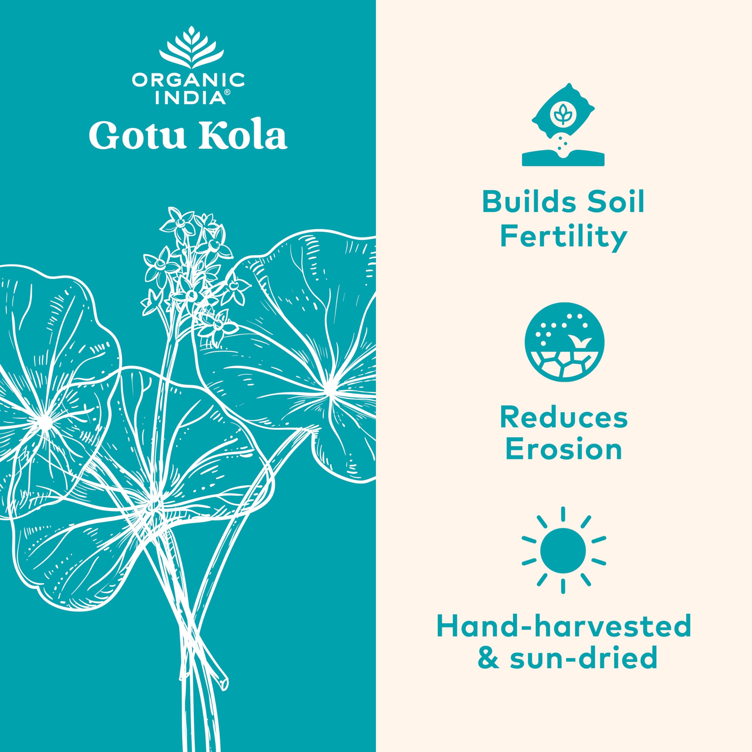 Close-up of Gotu Kola label