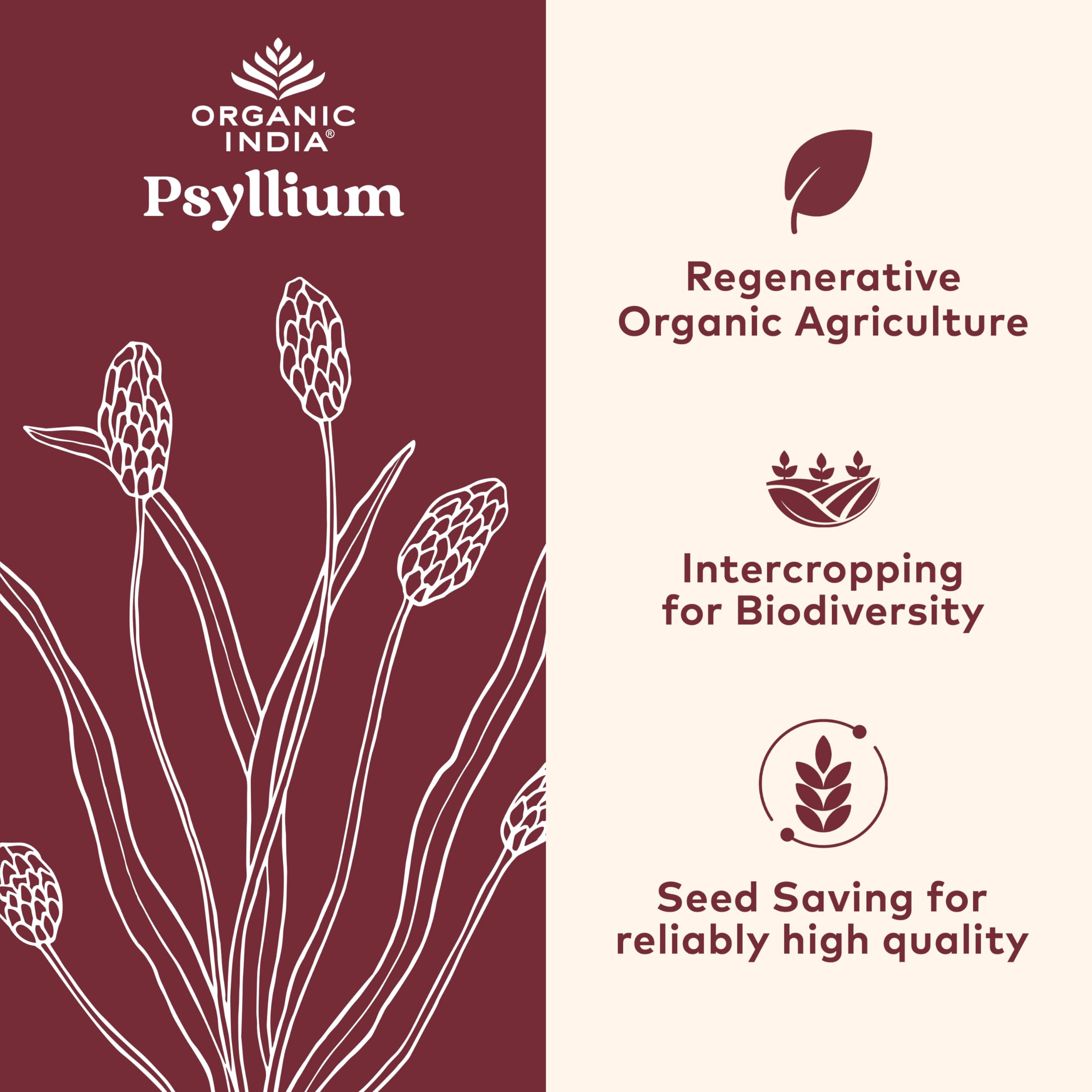 Close-up of psyllium husk capsules