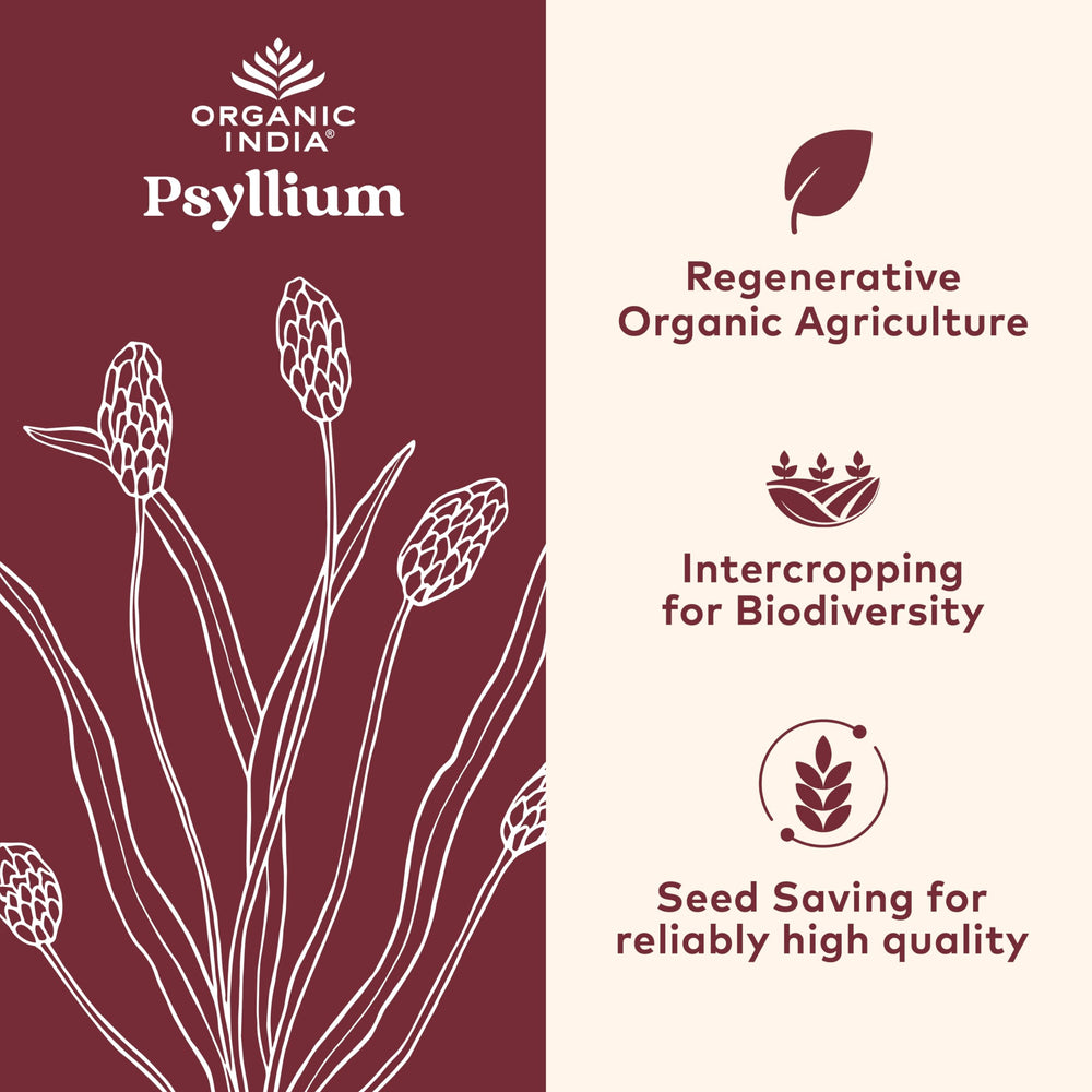 Close-up of psyllium husk capsules