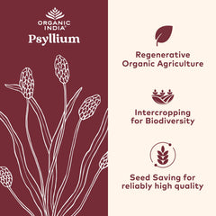 Close-up of psyllium husk capsules