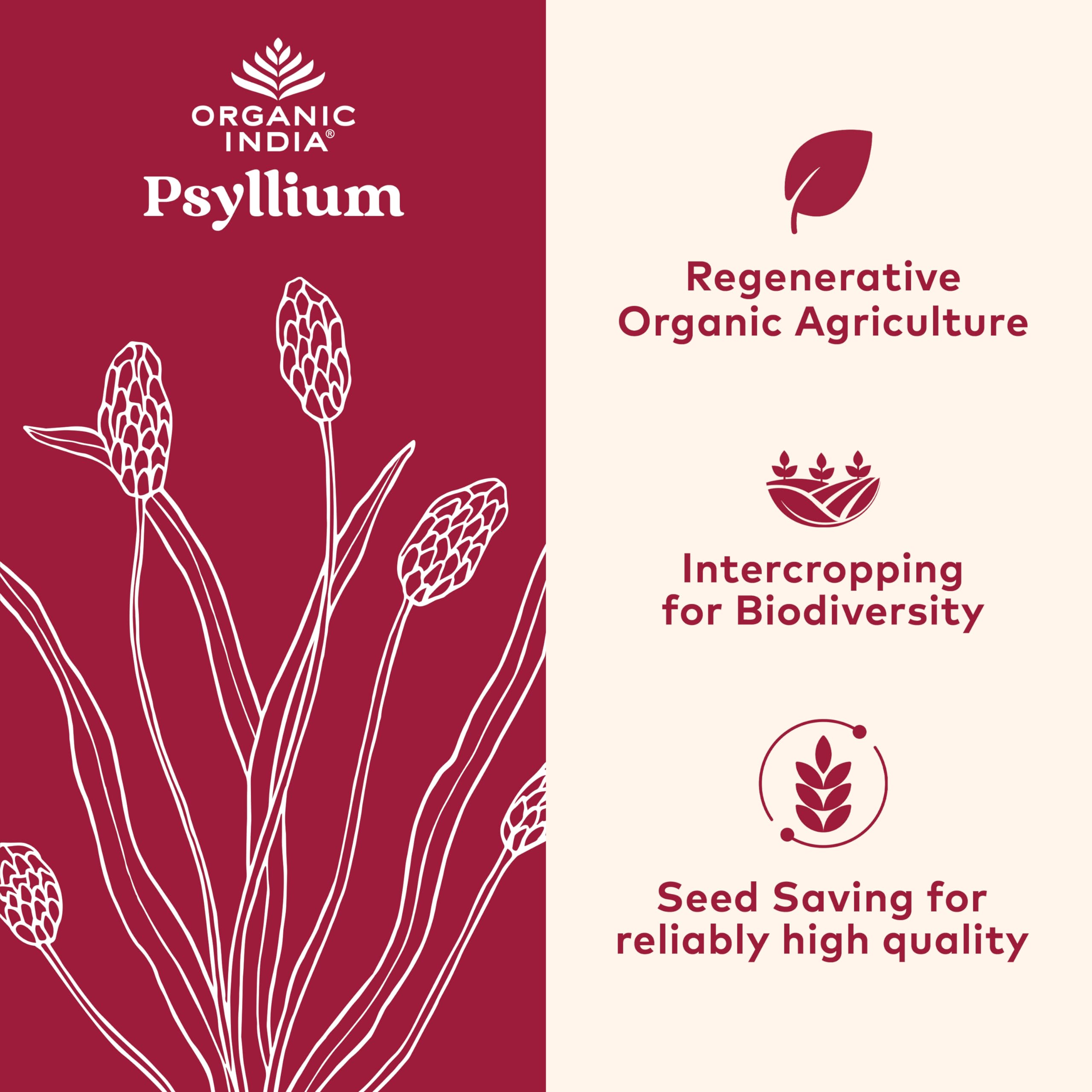 Psyllium husk powder in a scoop with 12 oz container