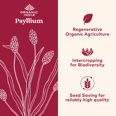 Psyllium husk powder in a scoop with 12 oz container