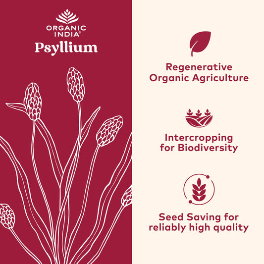 Back panel of Organic India Psyllium Whole Husk packaging showing nutrition facts