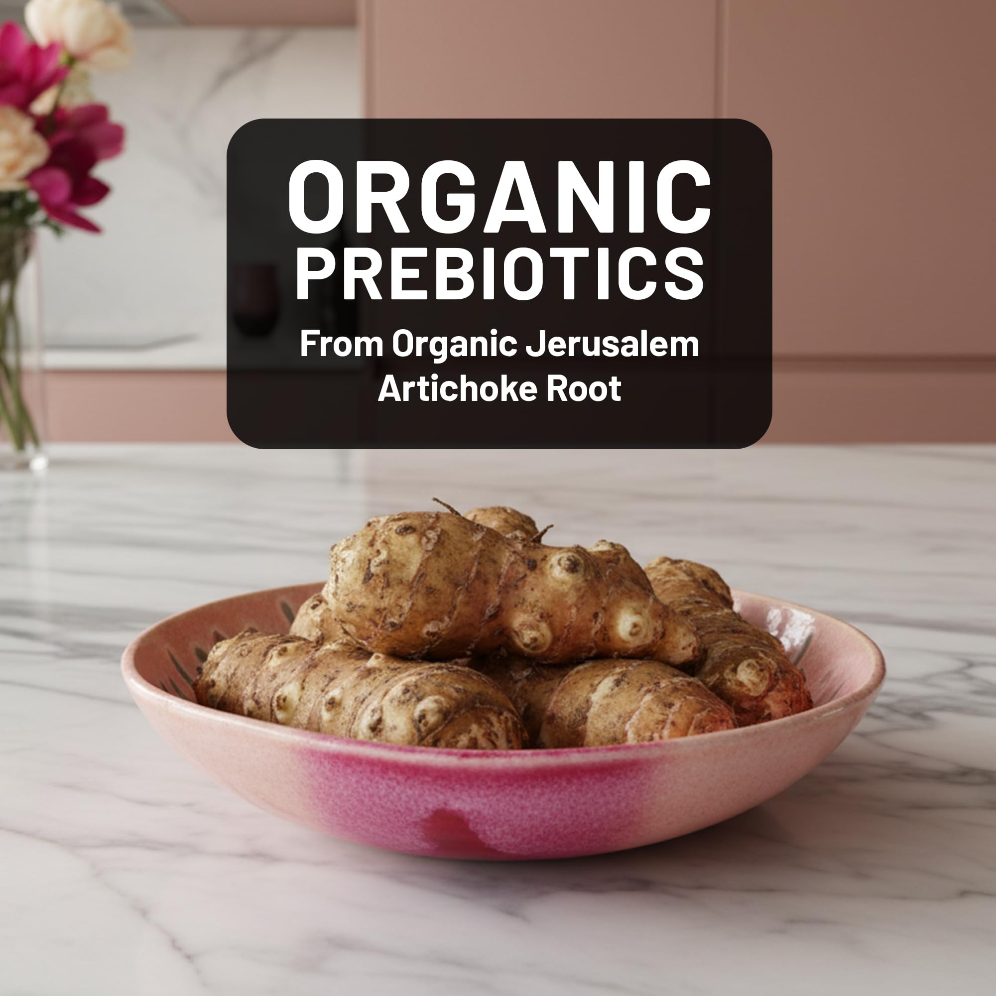Organic inulin prebiotic illustration