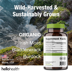 Ingredients: wildcrafted sea moss, burdock root, and bladderwrack