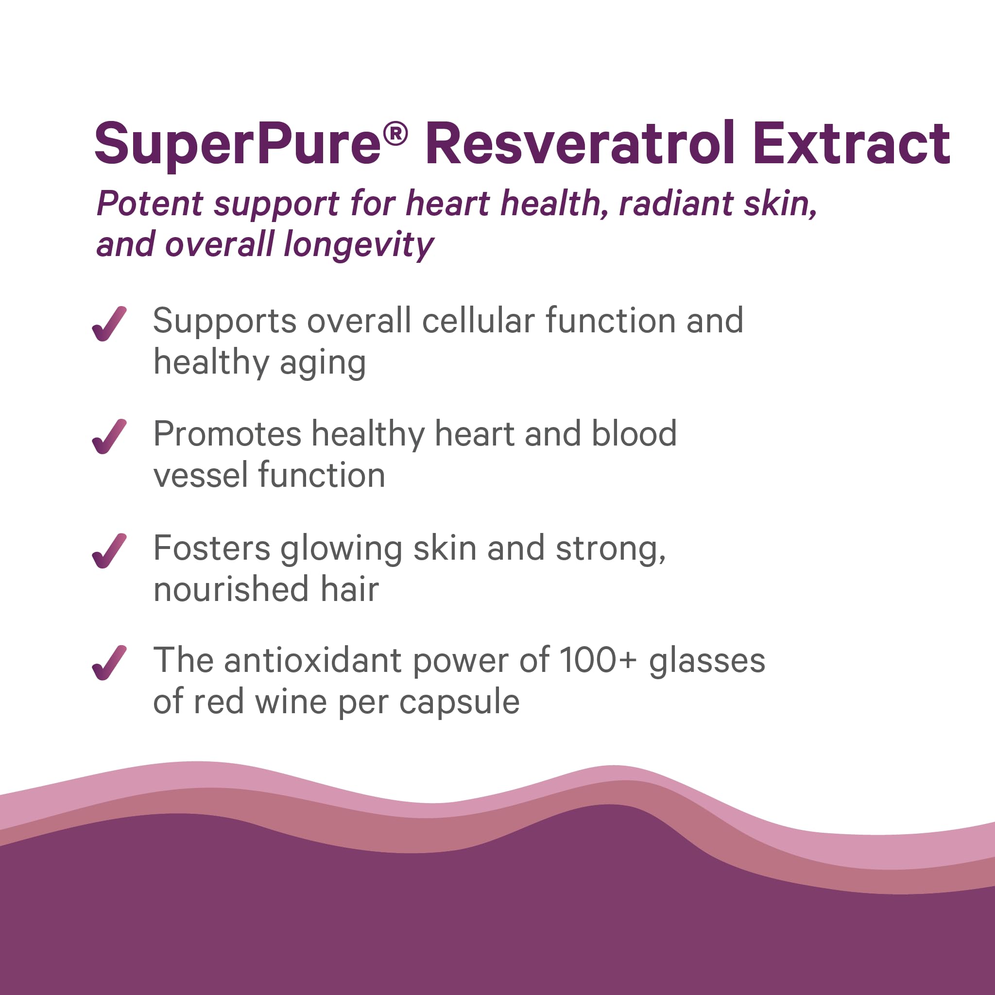 Organic Japanese knotweed resveratrol source