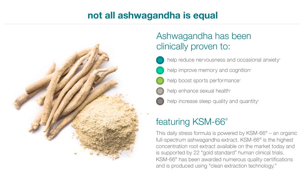 Visual depiction of stress support and brain health with Ashwagandha