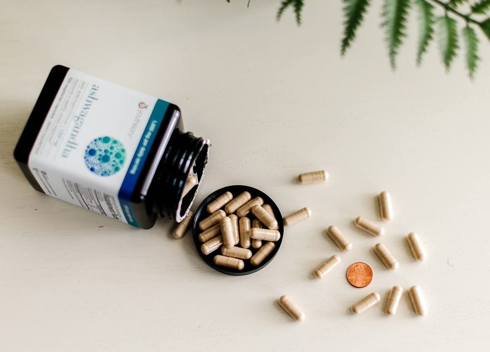 Envisionary Easy Sleep packet included with Ashwagandha supplement