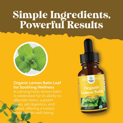 Dropper dispensing lemon balm tincture