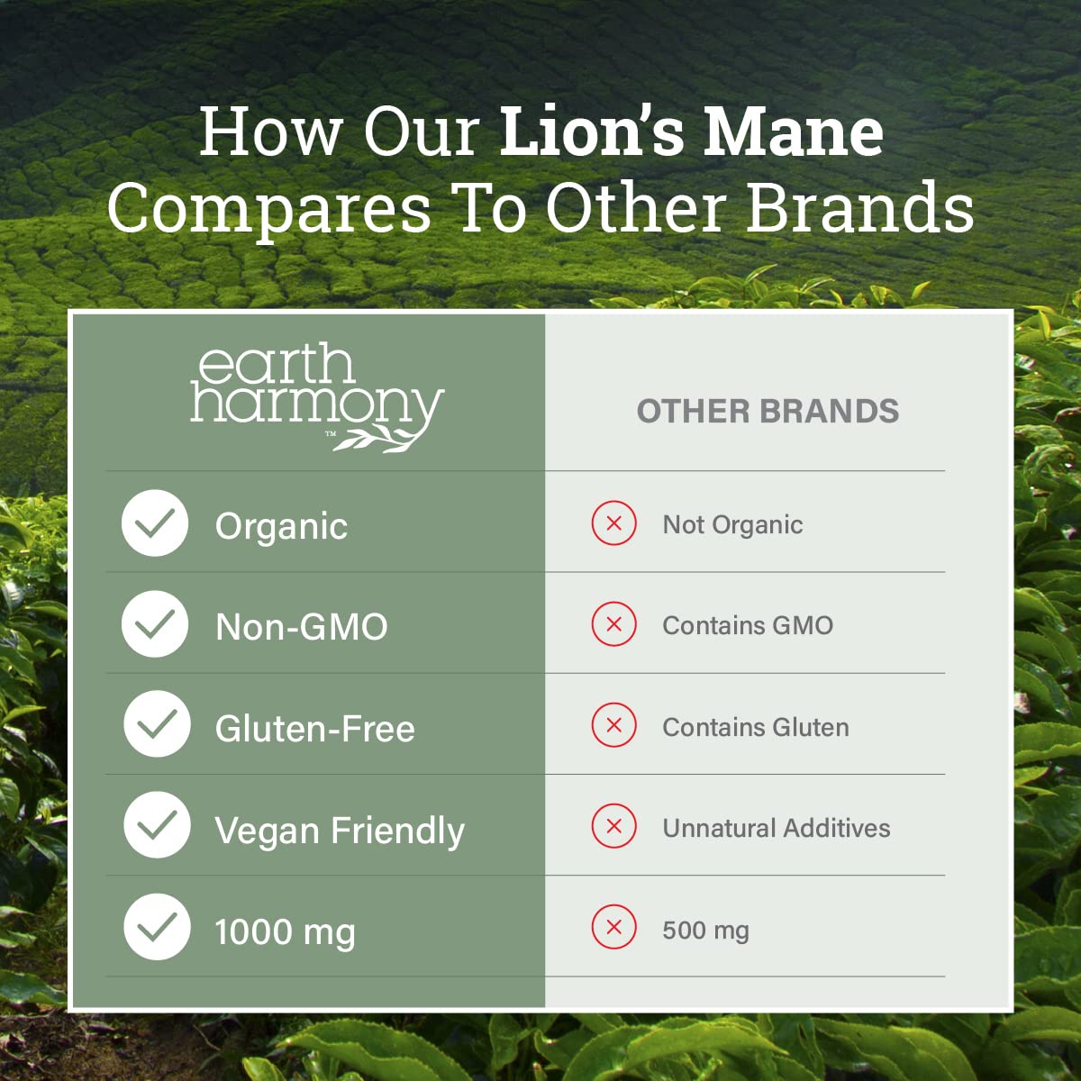 Organic Lions Mane extract capsules for cognitive support