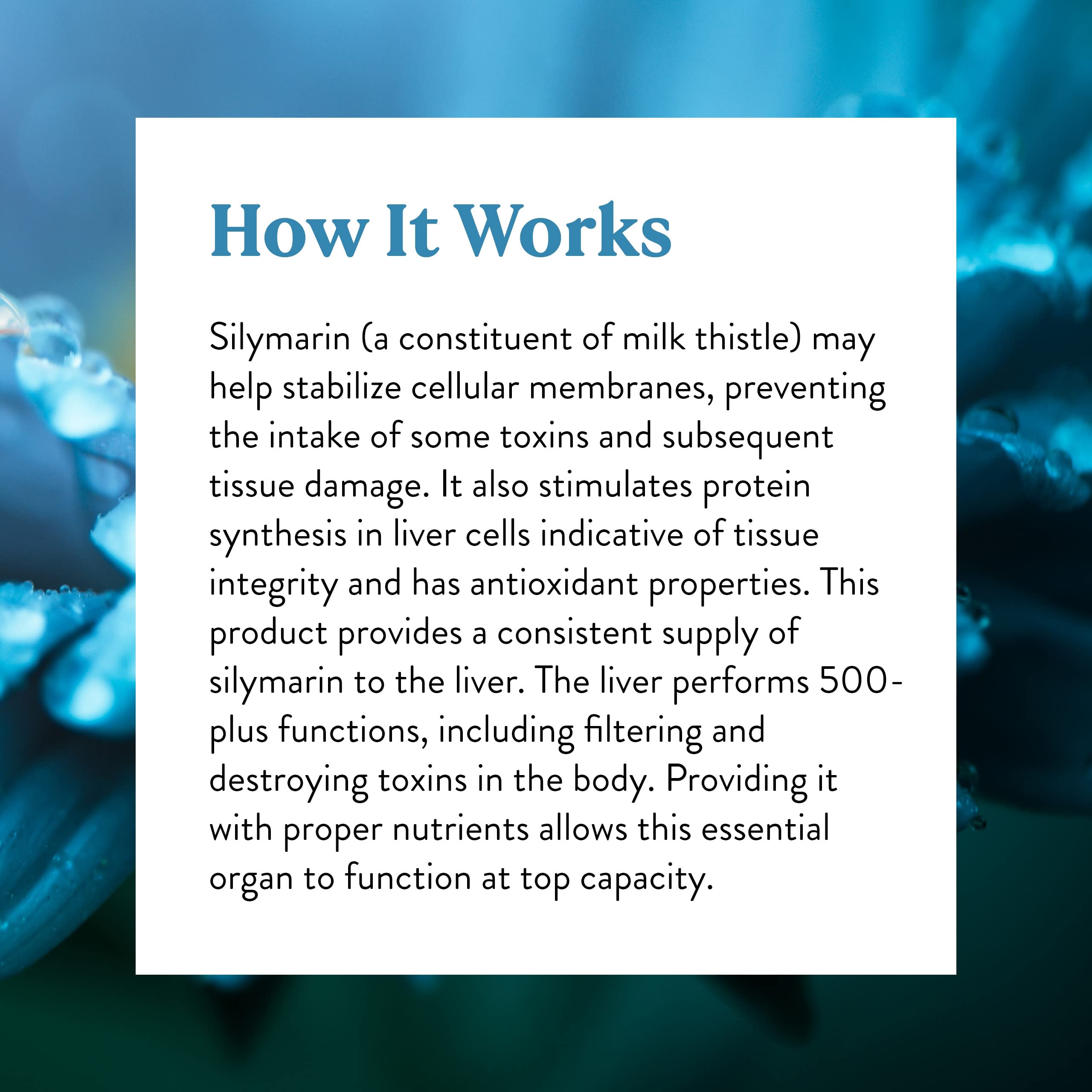 Organic milk thistle seed extract with 80% silymarin