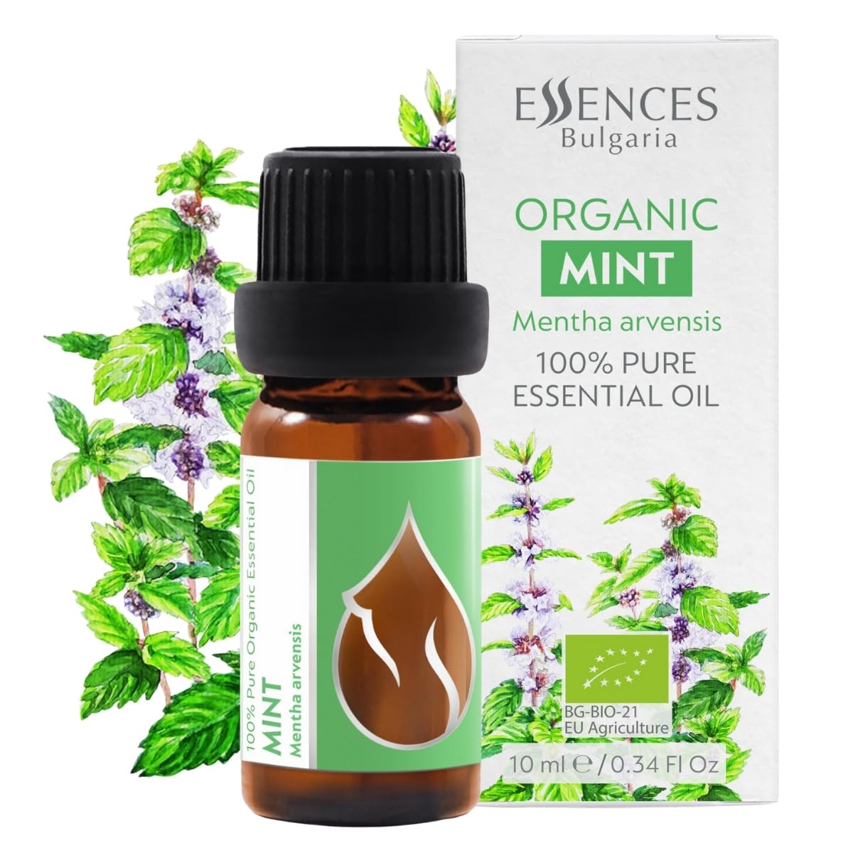 Bottle of Organic Mint Essential Oil Mentha arvensis (10ml)