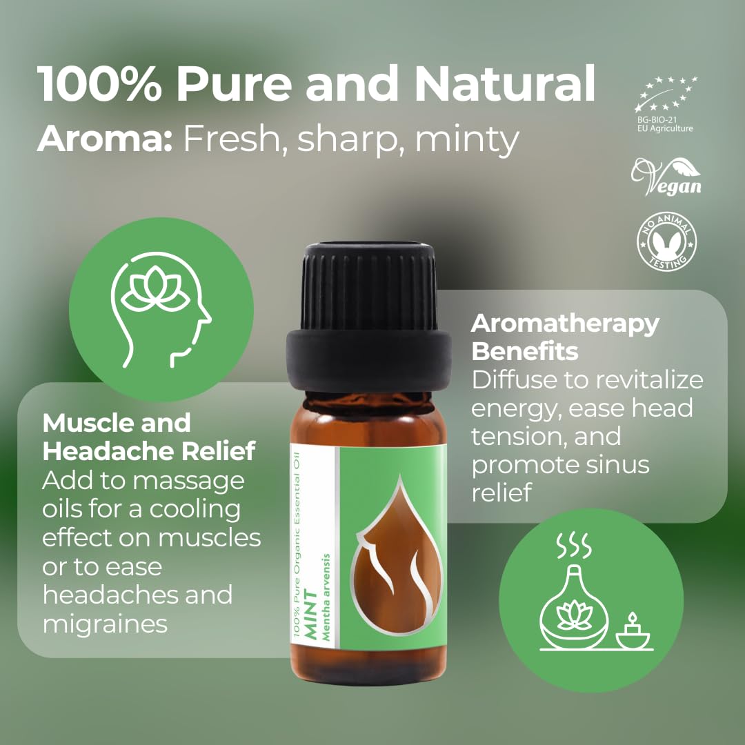 Mint essential oil harvested on the Danube region farm in Bulgaria