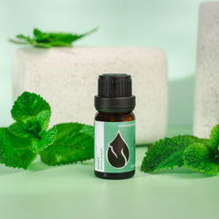Aromatherapy diffuser releasing mint aroma