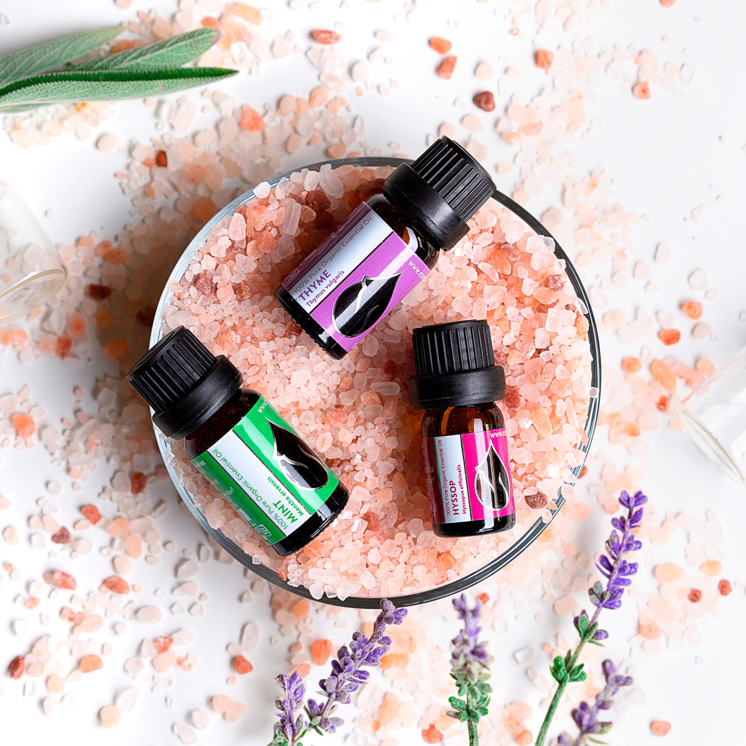 Packaging of Mentha arvensis essential oil on white background