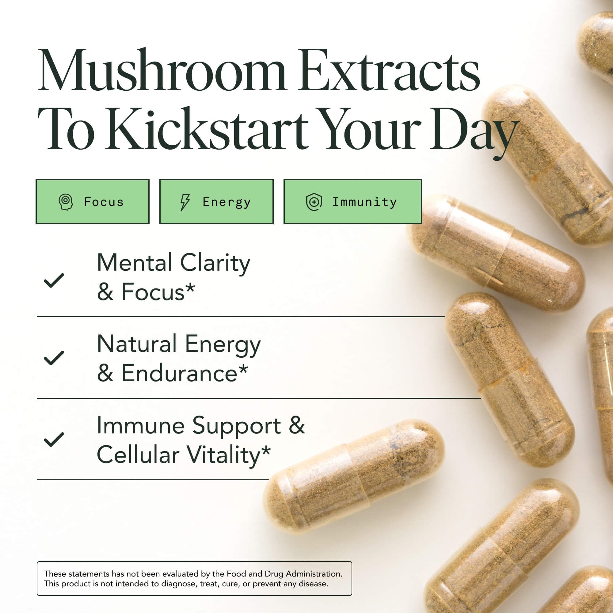 Close-up of 10:1 organic fruiting body extracts for potency