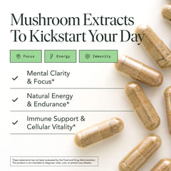 Close-up of 10:1 organic fruiting body extracts for potency
