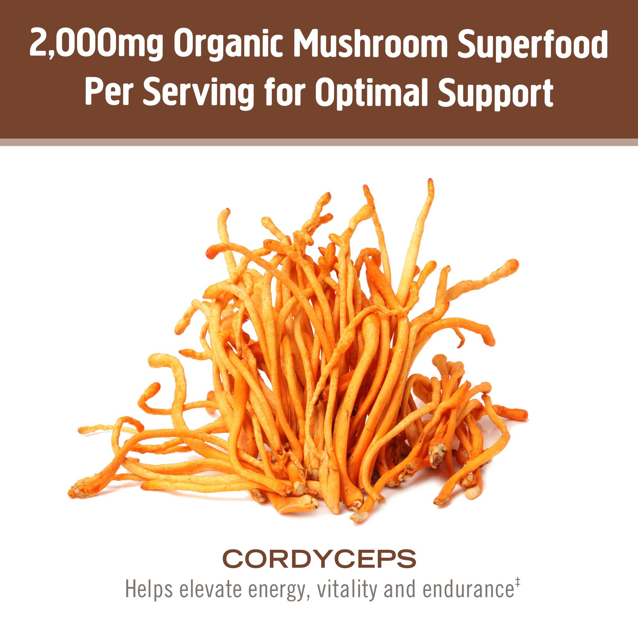 Organic mushroom cultivation facility in Southern California