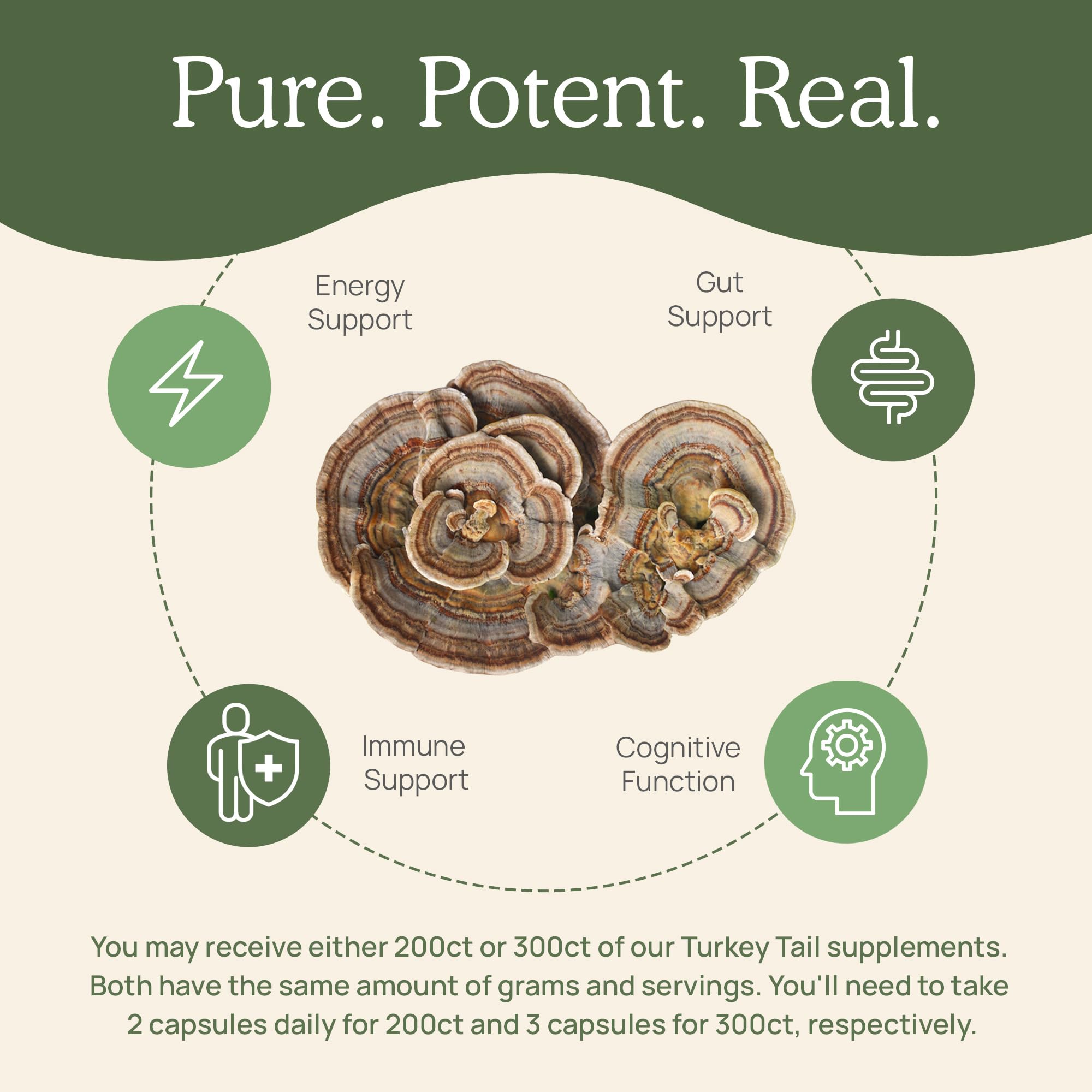 Organic mushroom extract made from 100% fruiting bodies