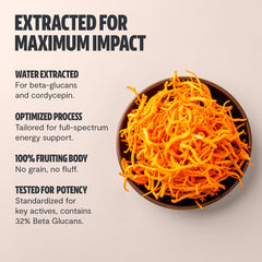 Organic, non-GMO, gluten-free vegan capsule ingredients