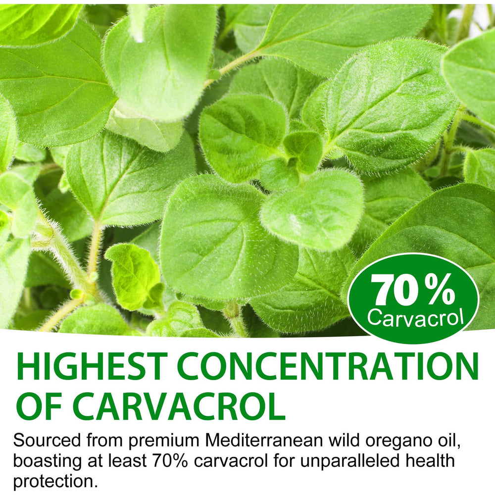 Oregano oil bottle label highlighting carvacrol content