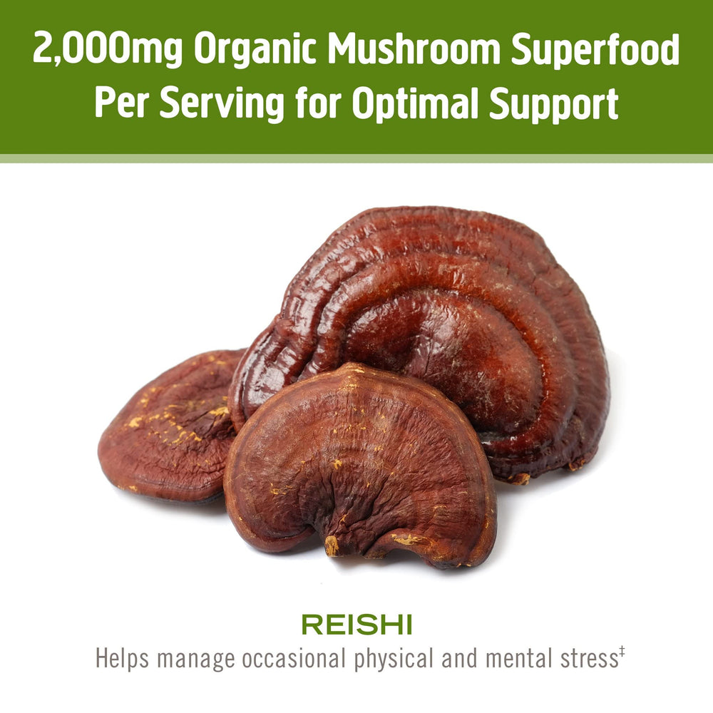 Organic Reishi Mushroom Powder Full Spectrum