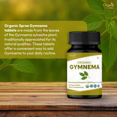 Gymnema supplement powder and tablets close-up