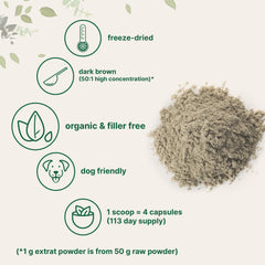 Organic Turkey Tail Mushroom Powder with no GMOs