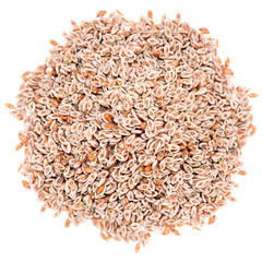Raw psyllium seeds on white background