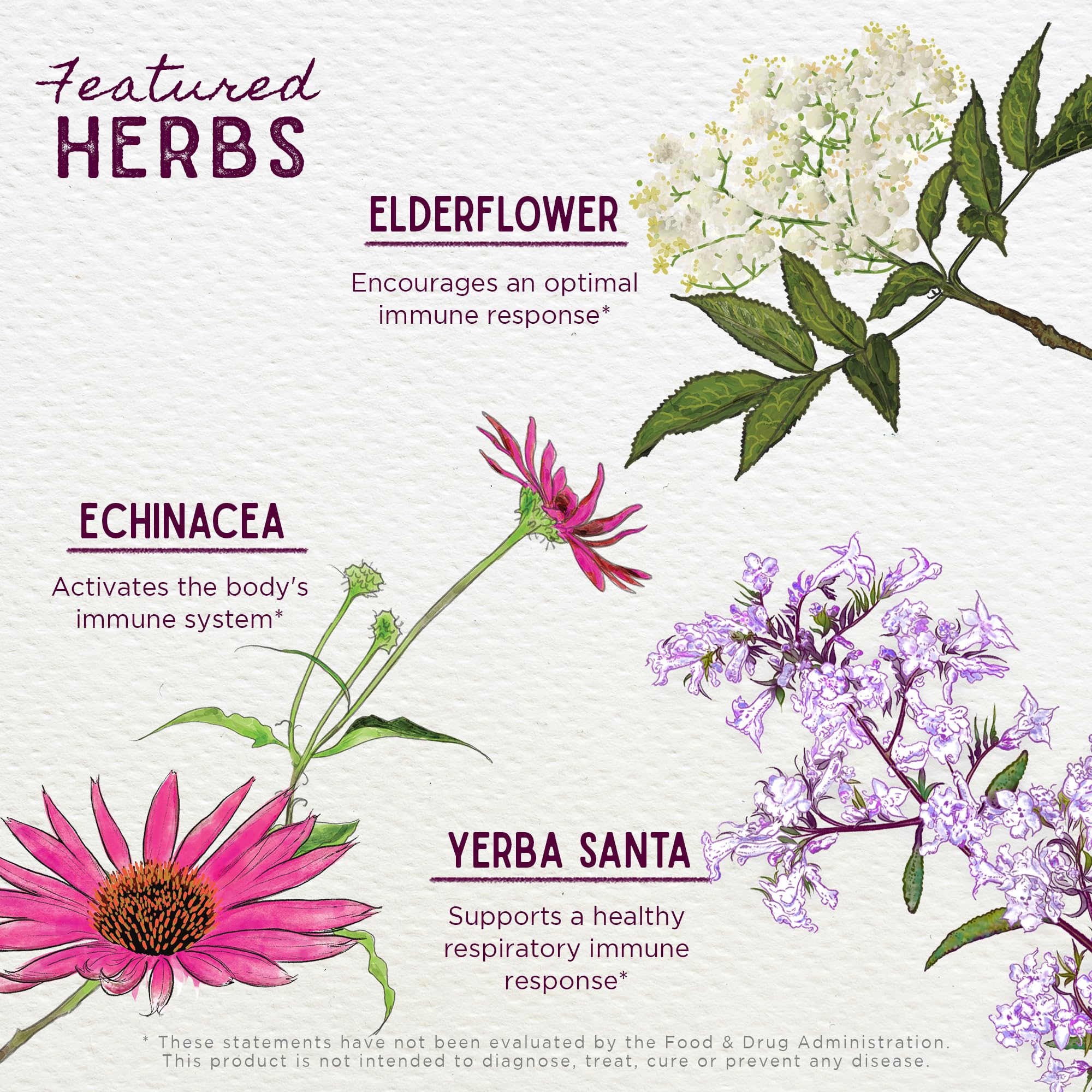 Organic and wild-harvested, forest-farmed ingredients