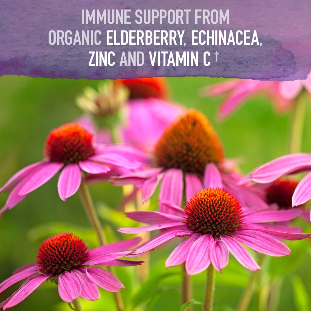 Organic zinc sourced from guava fruit