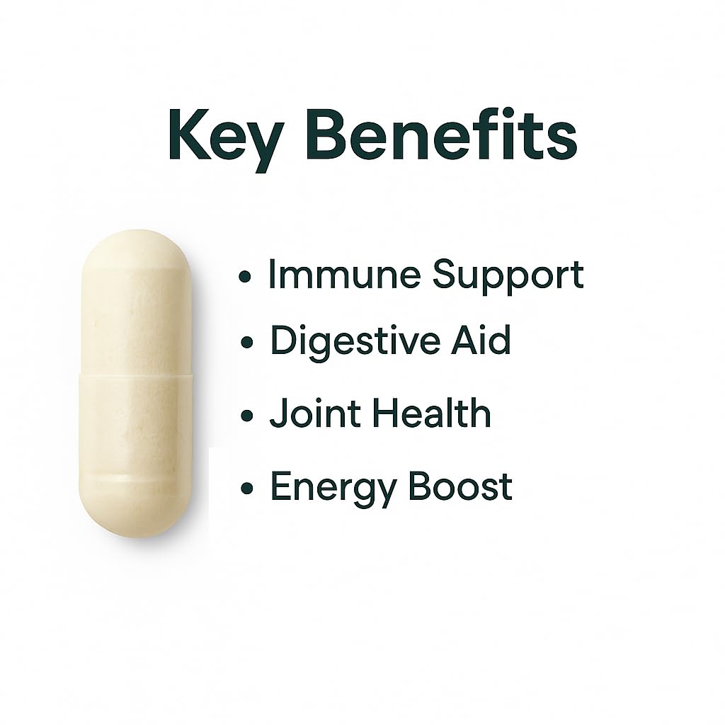 Graphic illustrating energy and digestive support benefits