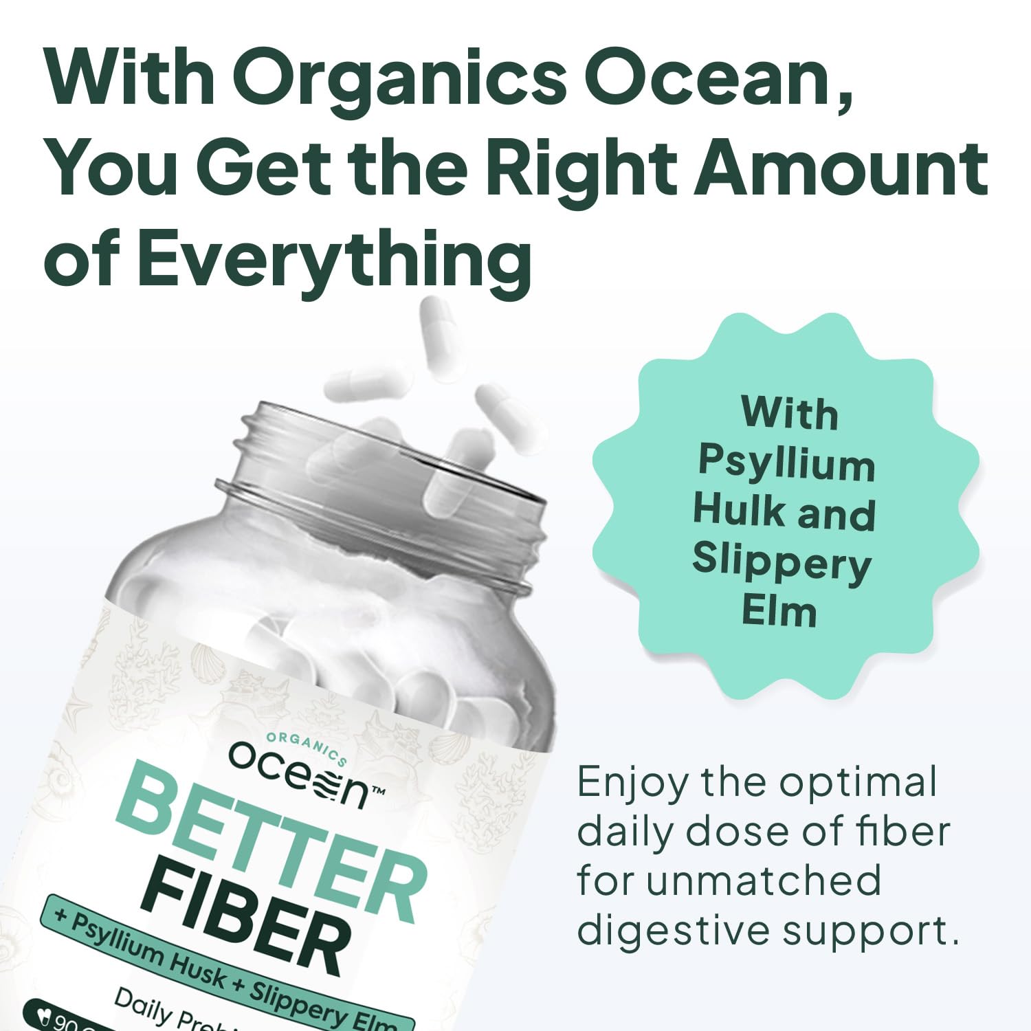Ingredients: psyllium husk, slippery elm, aloe ferox illustration