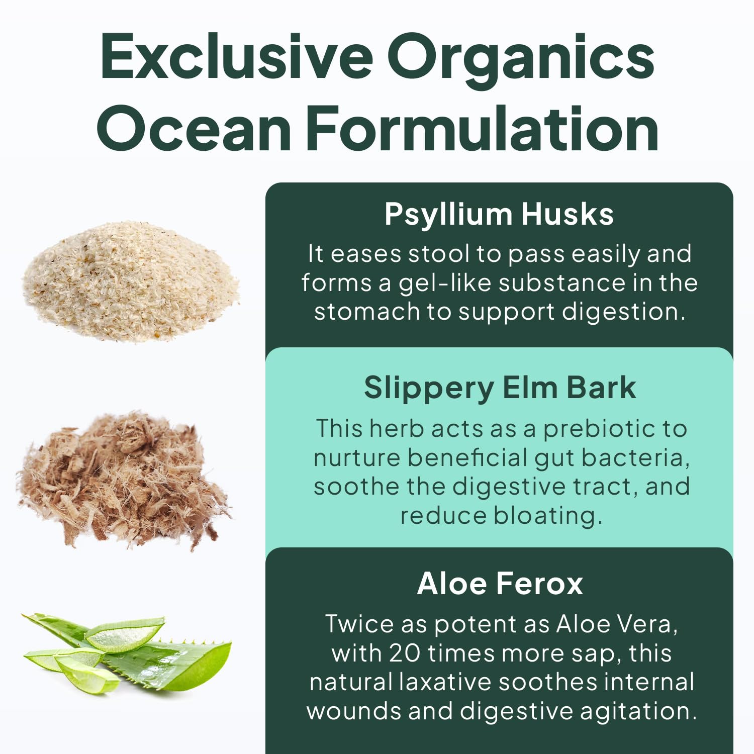 Vegan-friendly Better Fiber capsules on white background