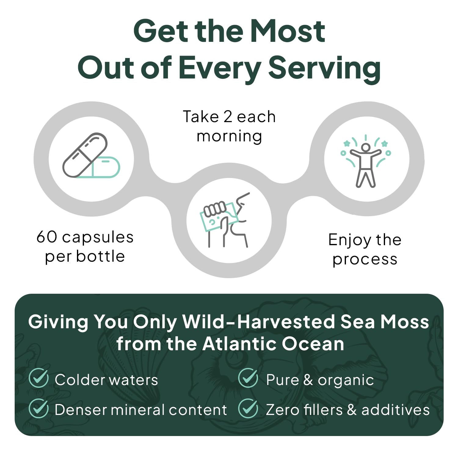 Product packaging and label for Organics Ocean Sea Moss Capsules