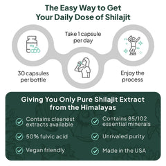 Six-bottle packaging for Organics Ocean Shilajit Capsules