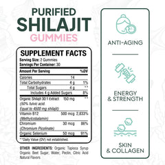 Product label for Organics Ocean Shilajit Gummies