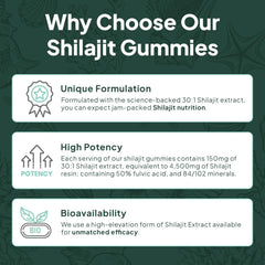 Organics Ocean Shilajit Gummies nutrition panel highlights minerals and B12 benefits.