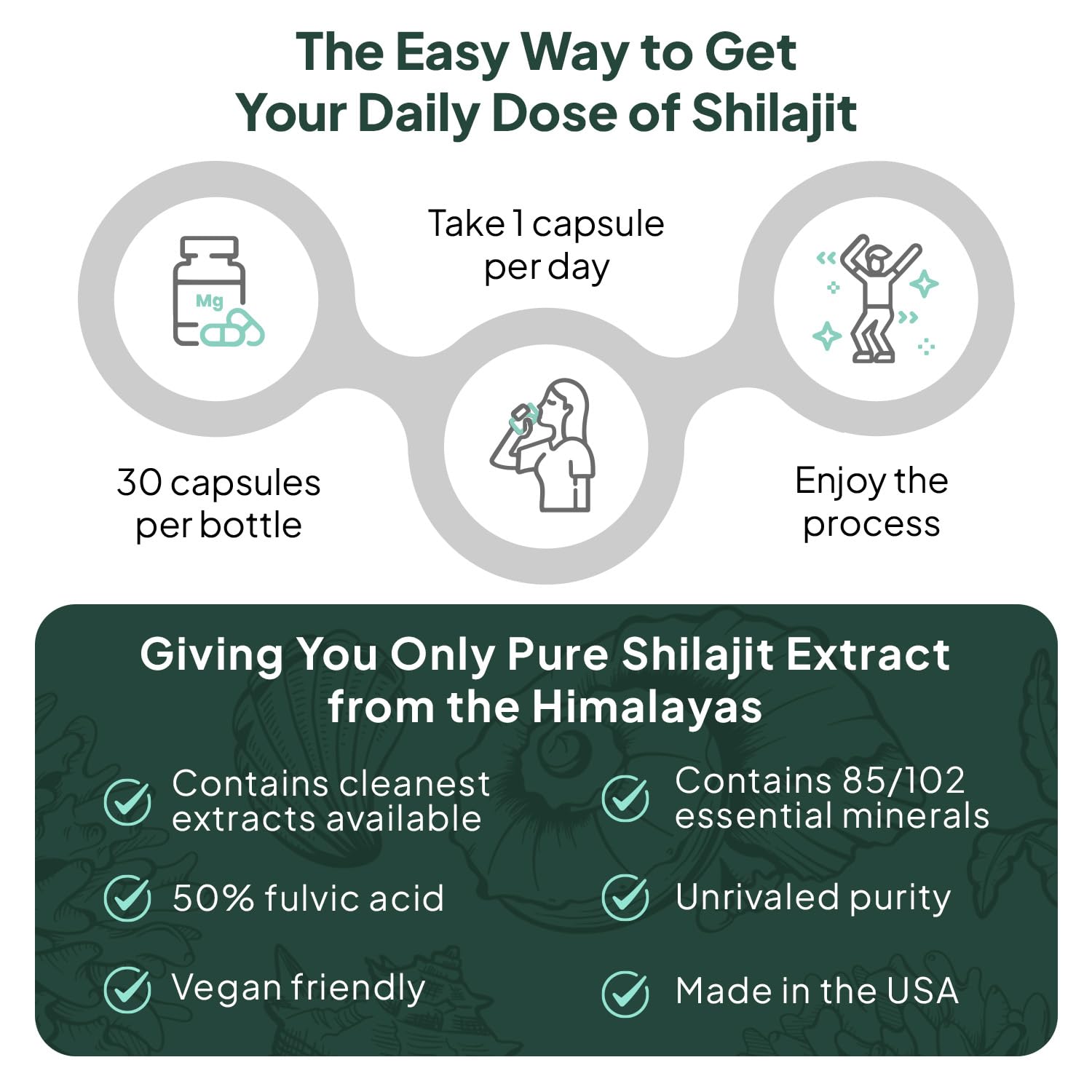 Organics Ocean vegan-friendly Shilajit capsules, minimal additives