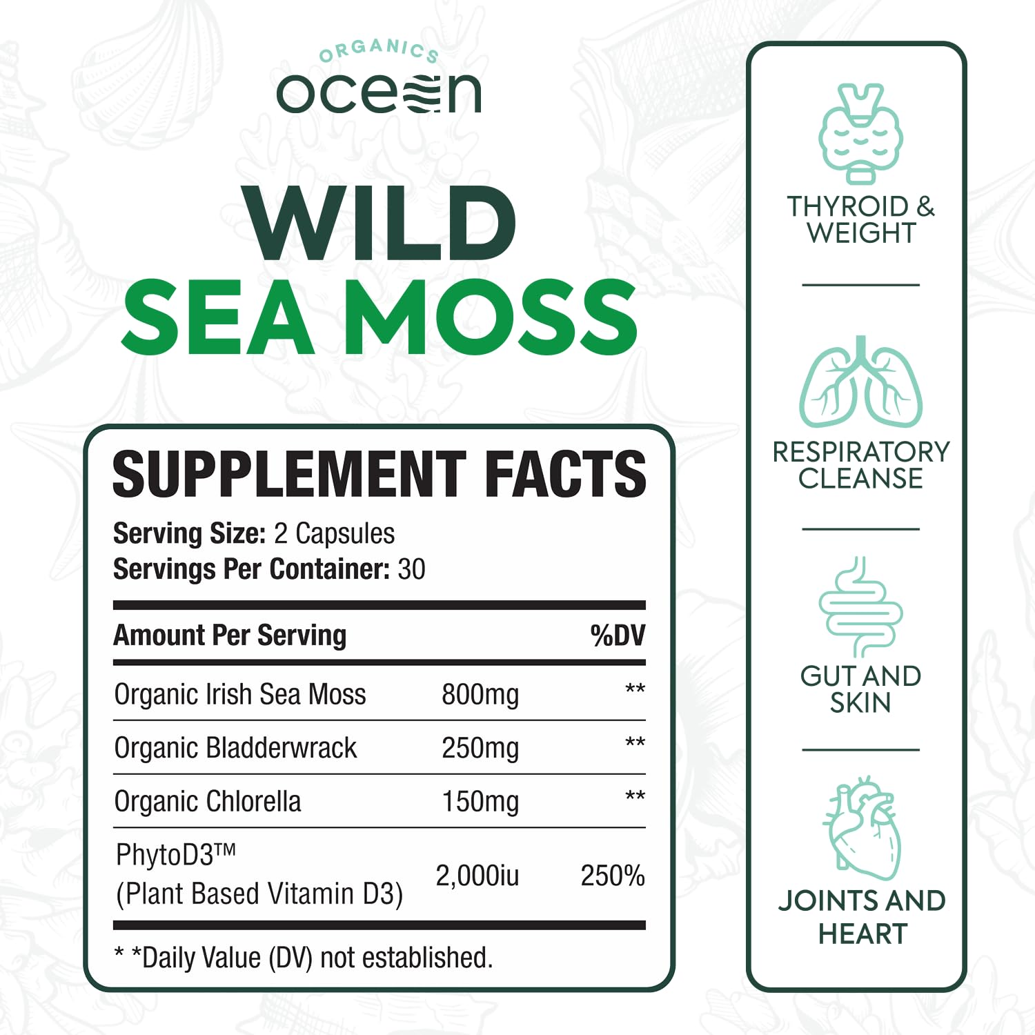 Wildcrafted sea moss, bladderwrack and chlorella ingredients beside capsules